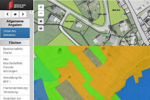 Administrative Unterstützung für Landwirte bei der Onlineerfassung der landwirtschaftlichen Daten im Kanton Wallis (ePDir)